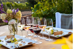 san-francisco-napa-tours6